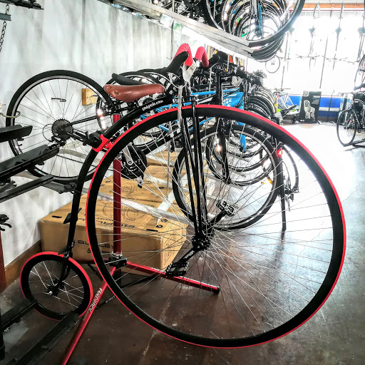 Bicycle Store «Richardson Bike Mart», reviews and photos, 1451 W Campbell Rd, Richardson, TX 75080, USA