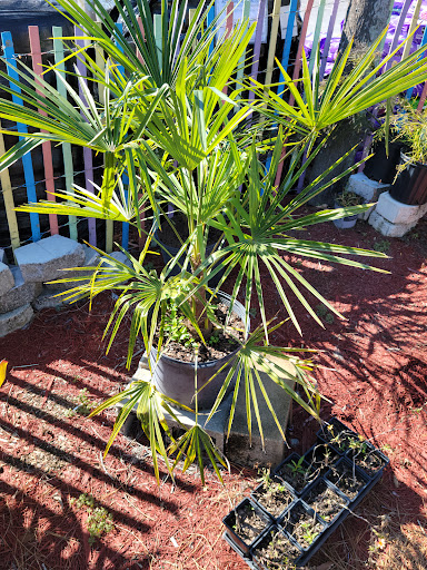 Hardware Store «Ace Home Helpers», reviews and photos, 17760 Panama City Beach Pkwy, Panama City Beach, FL 32413, USA