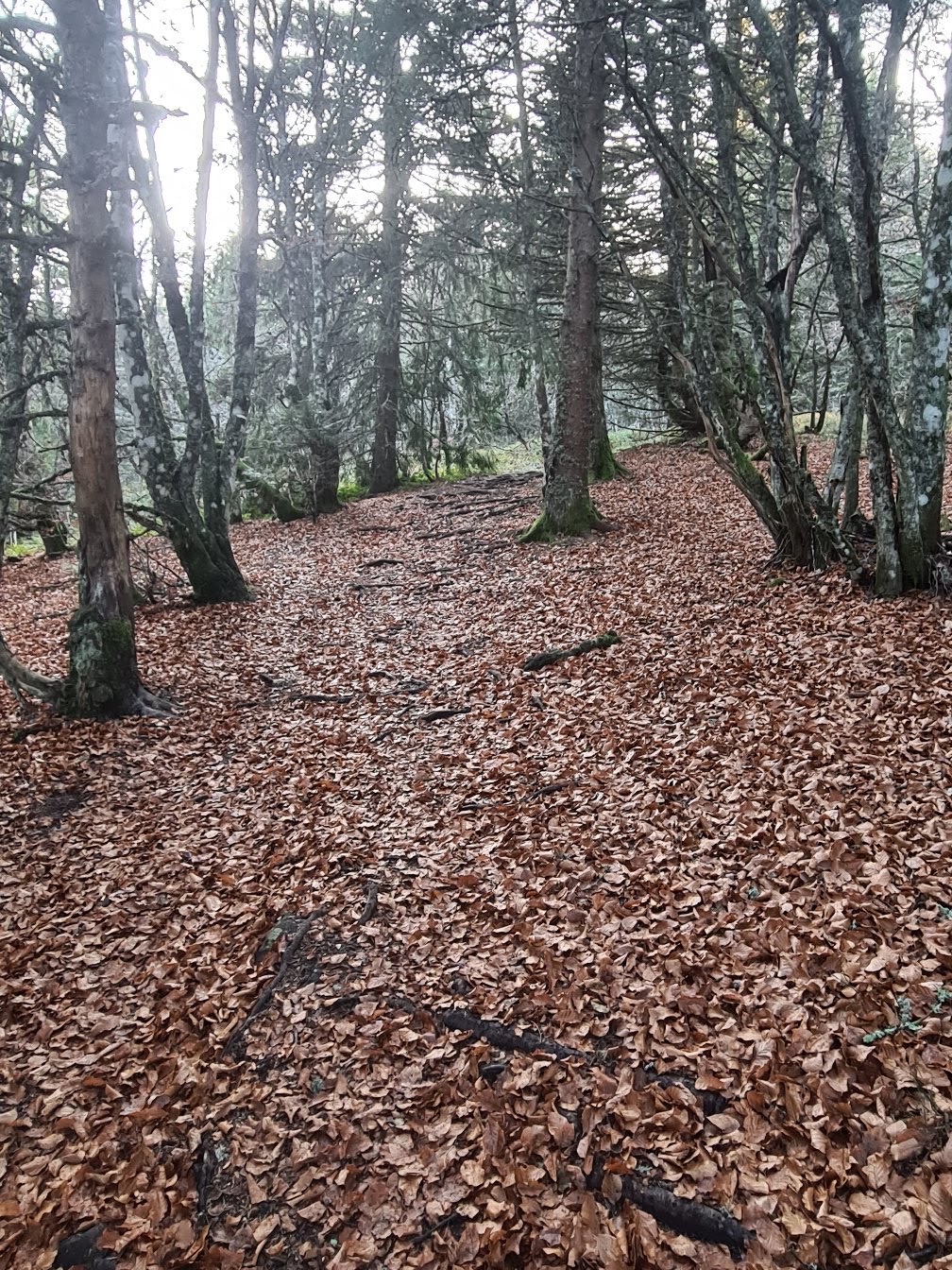Photo n° 18 de l'avis de V-W.- fait le 19/11/2022 à 13:41