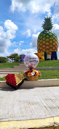 La Florería FloreSer – Isla