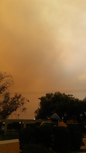 Department Store «Target», reviews and photos, 2191 N Tustin St, Orange, CA 92865, USA