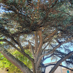 Photo n°2 de l'avis de Nicola.o fait le 07/08/2022 à 23:32 sur le  Trattoria al Giardino da Giamburesti à Mondavio