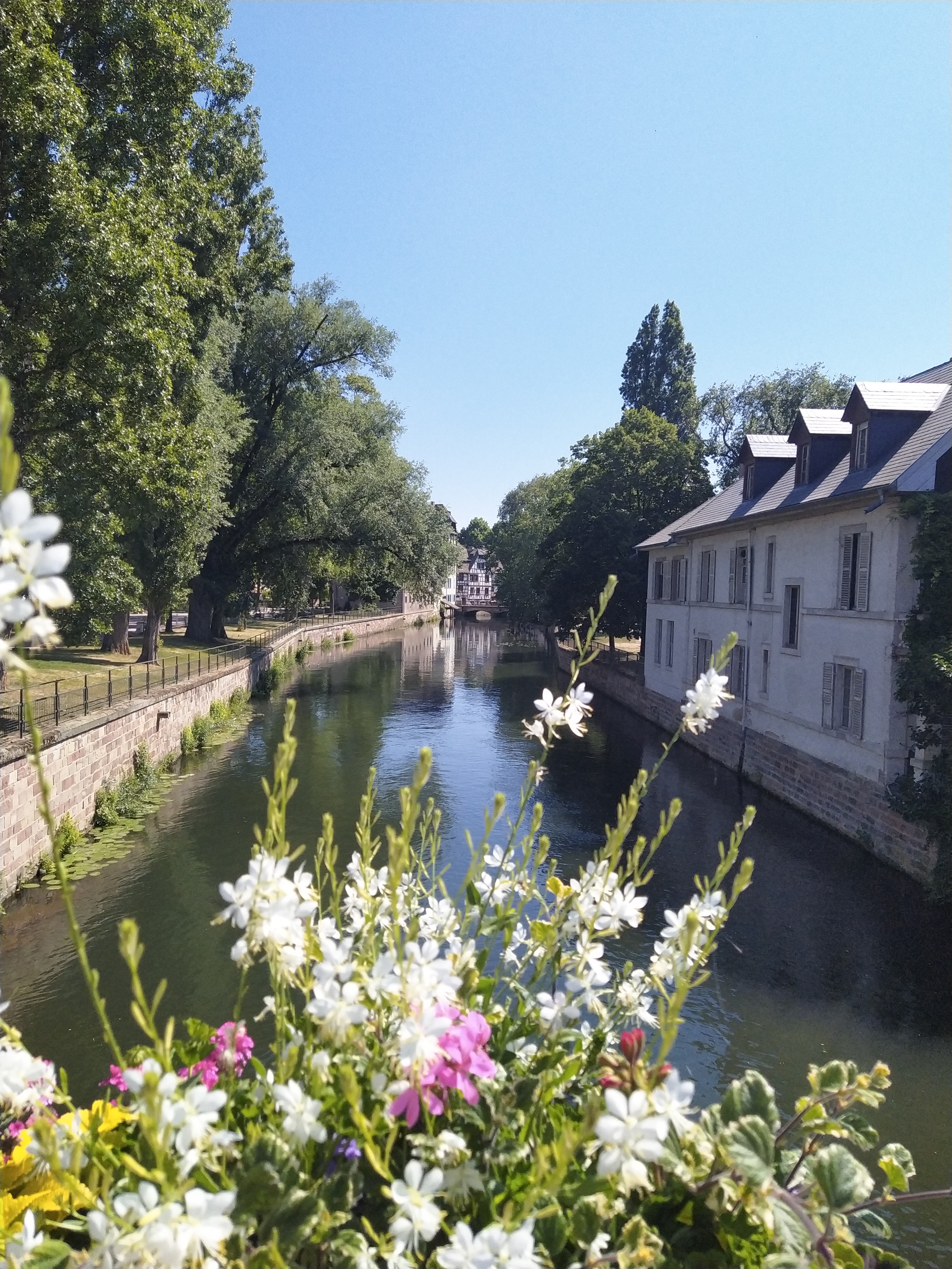 Photo n° 2 de l'avis de Frédéric.o fait le 11/06/2023 à 18:28