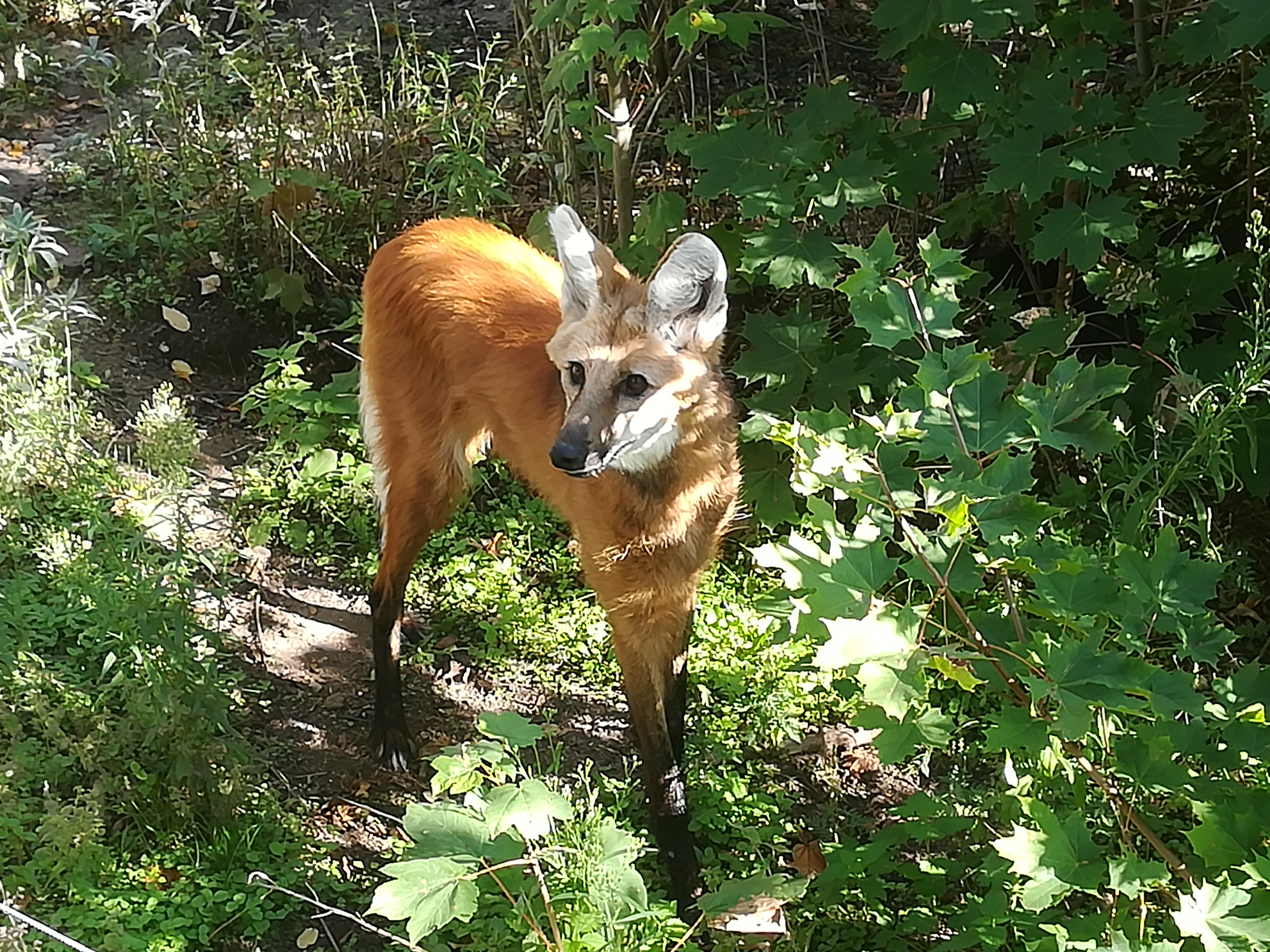Photo n° 3 de l'avis de Sébastien.o fait le 09/10/2022 à 19:26