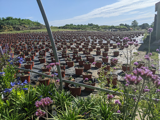 Garden Center «Quality Gardens», reviews and photos, 409 PA-228, Valencia, PA 16059, USA