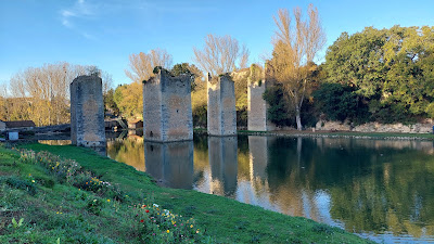 Etang De Lussac Les Chateaux à Lussac-les-Châteaux