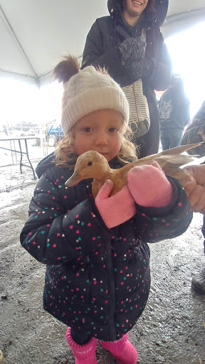 Pet Supply Store «Higbie Farm Supplies Inc», reviews and photos, 3440 Union St, North Chili, NY 14514, USA