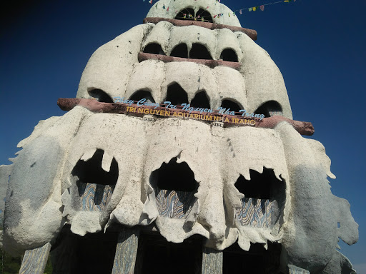 Tri Nguyen Aquarium