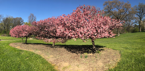 Park «Burnet Woods», reviews and photos, 3251 Brookline Ave, Cincinnati, OH 45220, USA