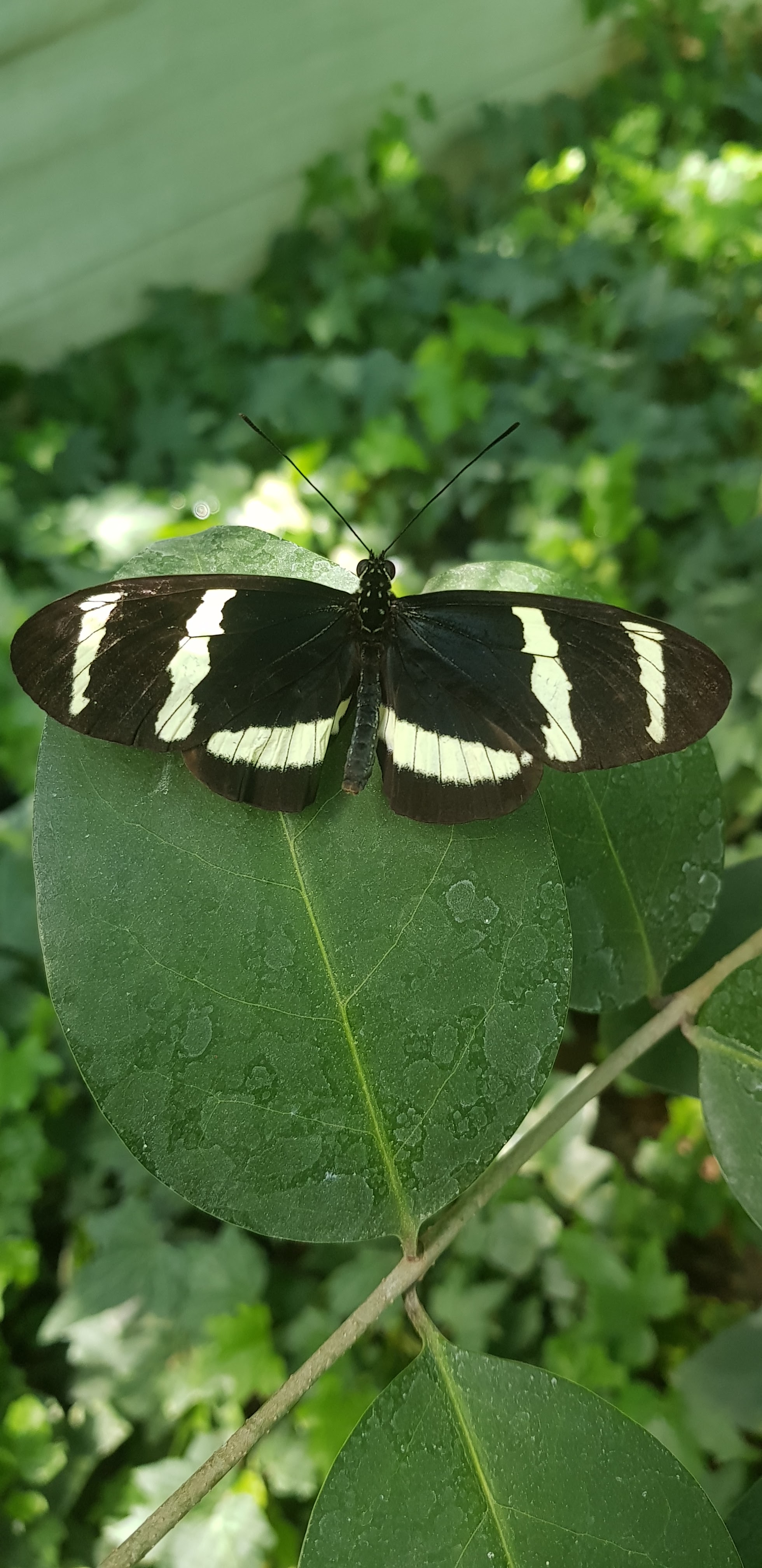 Photo n° 7 de l'avis de Ko.a fait le 14/05/2018 à 16:25