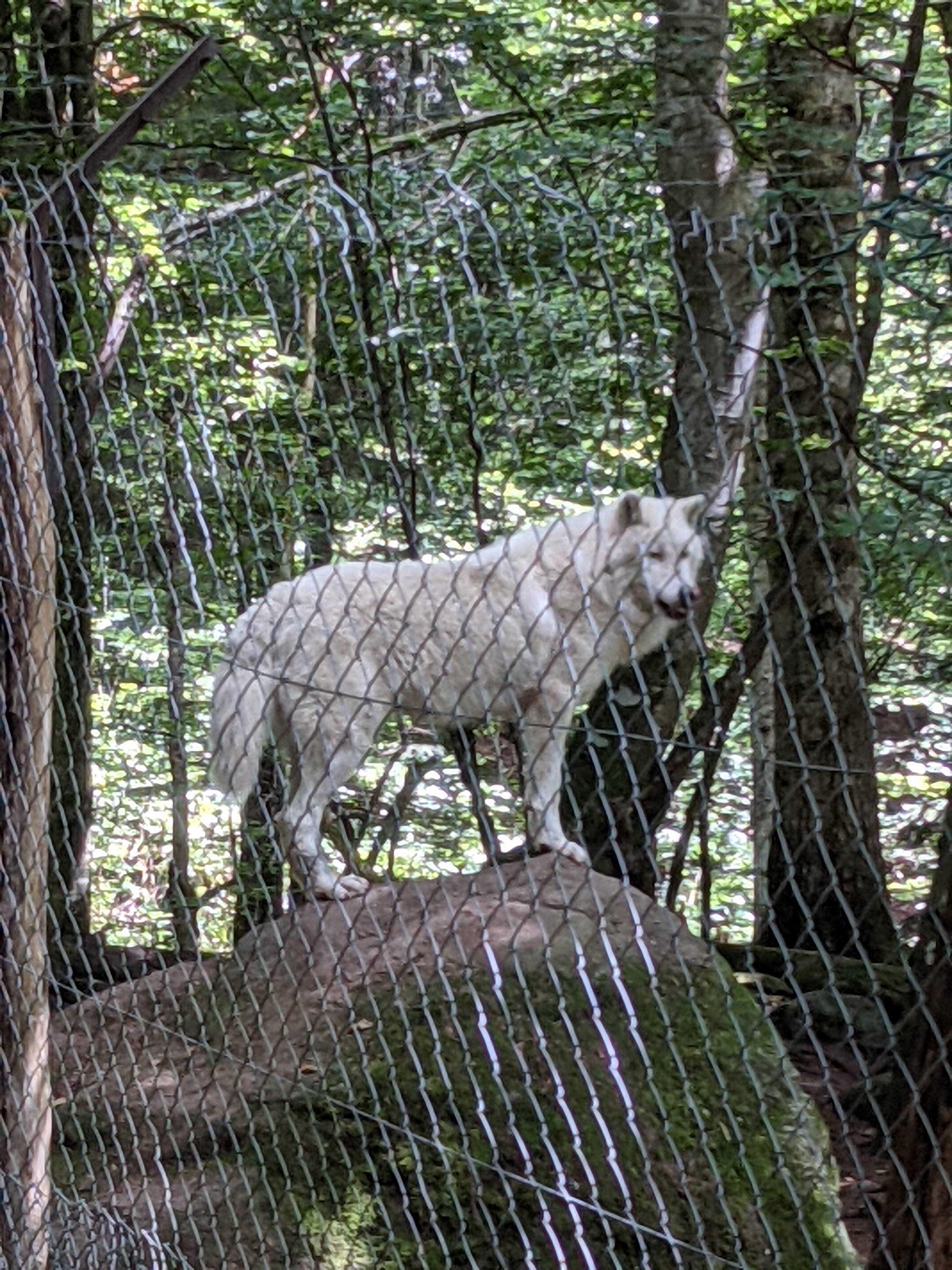 Photo n° 3 de l'avis de Thomas.a fait le 12/08/2021 à 14:19