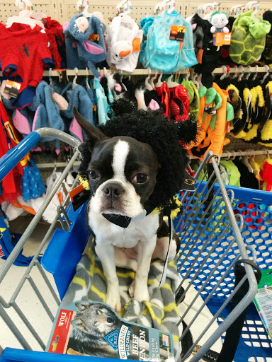 Pet Supply Store «PetSmart», reviews and photos, 6650 N Durango Dr, Las Vegas, NV 89149, USA