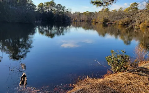 Park North Cameron Wildlife Sanctuary image