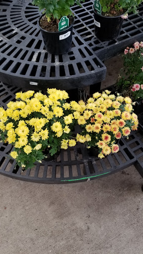 Shopping Mall «Town Line Plaza», reviews and photos, 80 Town Line Rd, Rocky Hill, CT 06067, USA