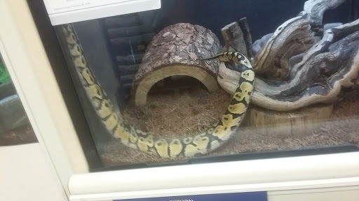 Pet Supply Store «PetSmart», reviews and photos, 11400 Financial Centre Pkwy, Little Rock, AR 72211, USA