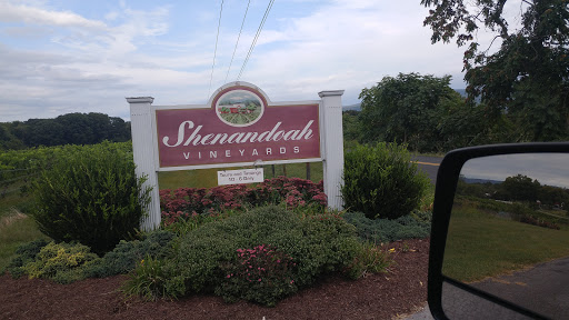 Winery «Shenandoah Vineyards», reviews and photos, 3659 S Ox Rd, Edinburg, VA 22824, USA