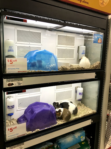 Pet Supply Store «Petco Animal Supplies», reviews and photos, 1820a W Uintah St, Colorado Springs, CO 80904, USA