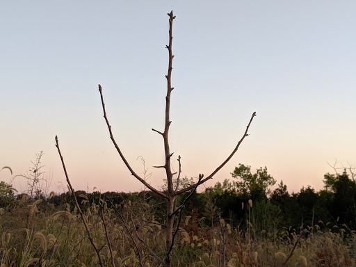Battle Site «Third Battle of Winchester Battlefield Park», reviews and photos, 541 Redbud Rd, Winchester, VA 22603, USA