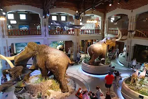 Toledo Zoo Museum of Science image