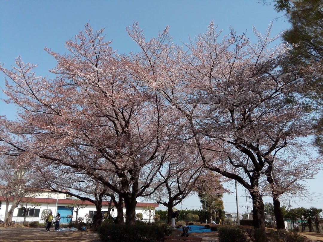 滝の下公園