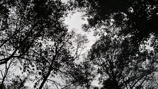 Public Golf Course «Callahan Golf Links», reviews and photos, 4991 Reinhardt College Pkwy, Waleska, GA 30183, USA