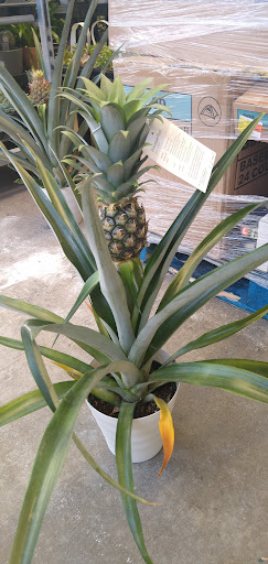 Discount Store «Walmart», reviews and photos, 3133 Main St, Mohegan Lake, NY 10547, USA