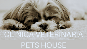 Clínica veterinaria pets house