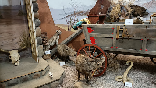 Museum «Mohave Museum of History and Arts», reviews and photos, 400 W Beale St, Kingman, AZ 86401, USA