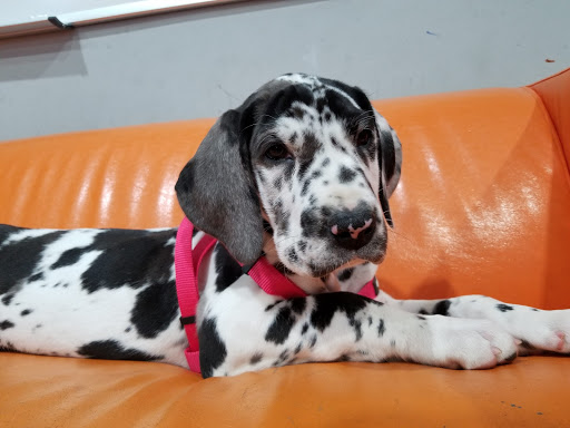 Gym «CrossFit Zionsville», reviews and photos, 10668 Andrade Dr, Zionsville, IN 46077, USA