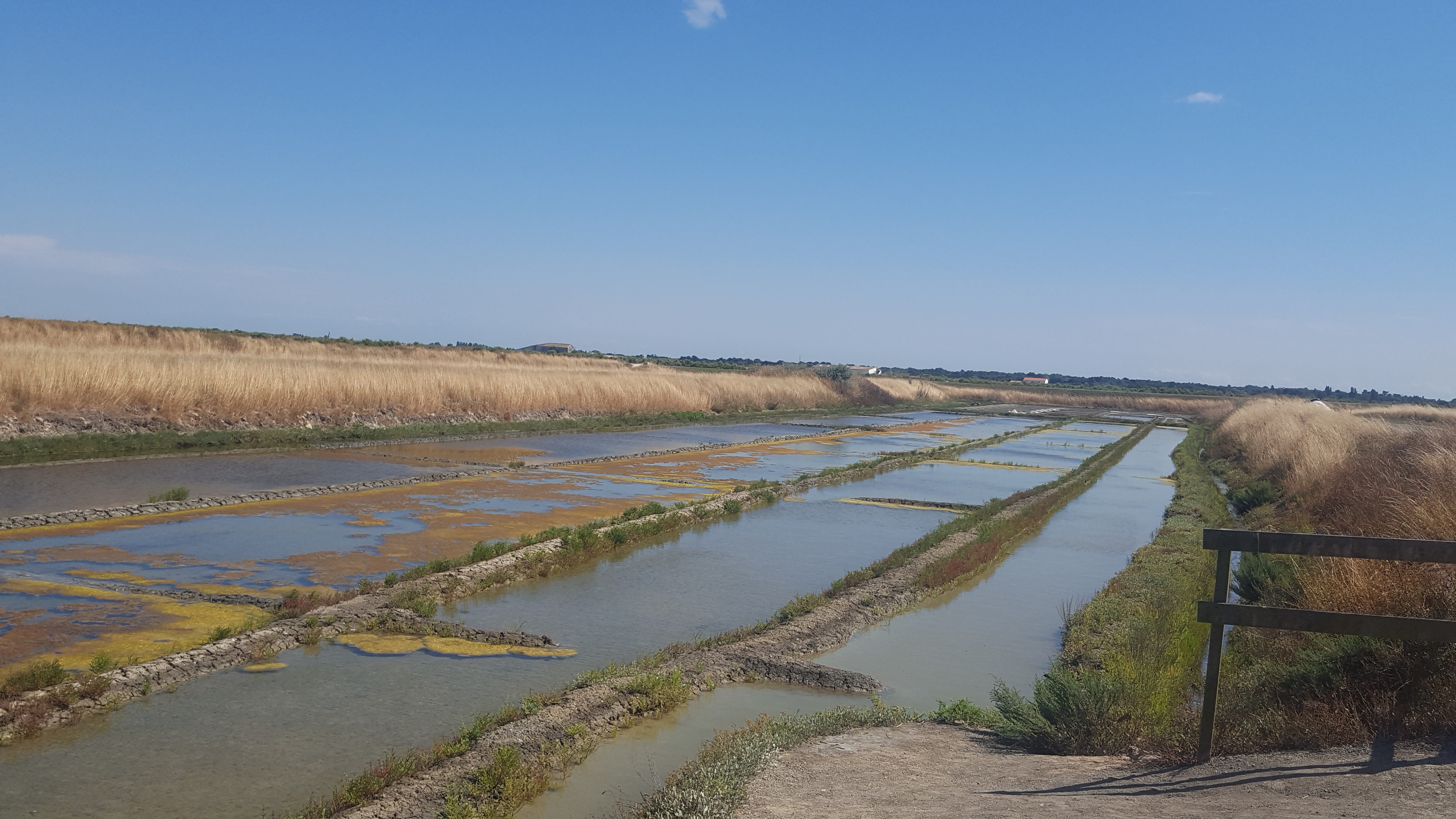 Photo n° 1 de l'avis de Laurent. fait le 20/07/2018 à 16:02
