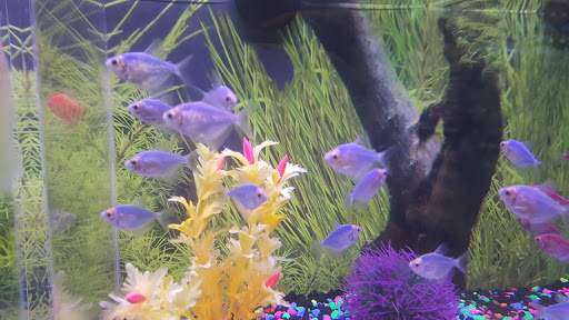 Pet Supply Store «PetSmart», reviews and photos, 1410 NE 23rd St, Pompano Beach, FL 33062, USA