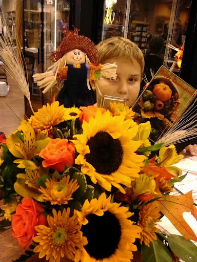 Shopping Mall «Ponce De Leon Mall», reviews and photos, 2121 US-1, St Augustine, FL 32086, USA