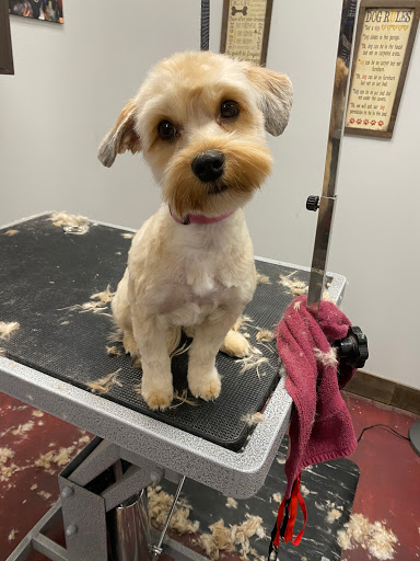 Pet Store «Healthy Pets Mountain West», reviews and photos, 2352 Fort Union Blvd, Cottonwood Heights, UT 84121, USA