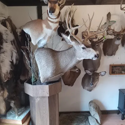 Chestnut's Taxidermy Studio,LLC.