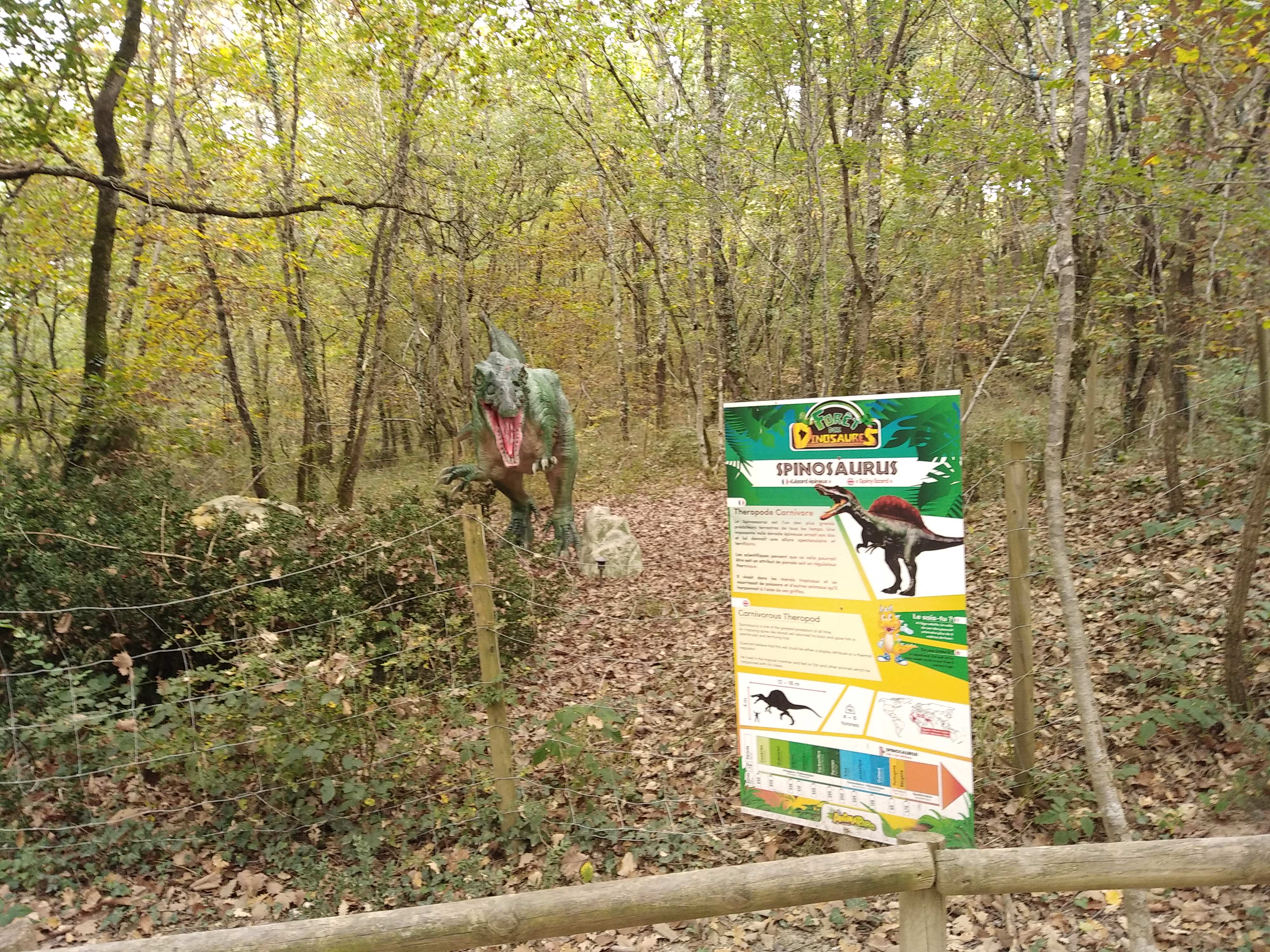 Photo n° 2 de l'avis de Mathieu.r fait le 30/10/2021 à 19:26