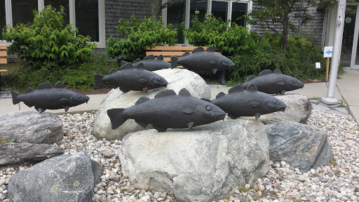 Aquarium «Maine State Aquarium», reviews and photos, 194 McKown Point Rd, West Boothbay Harbor, ME 04575, USA