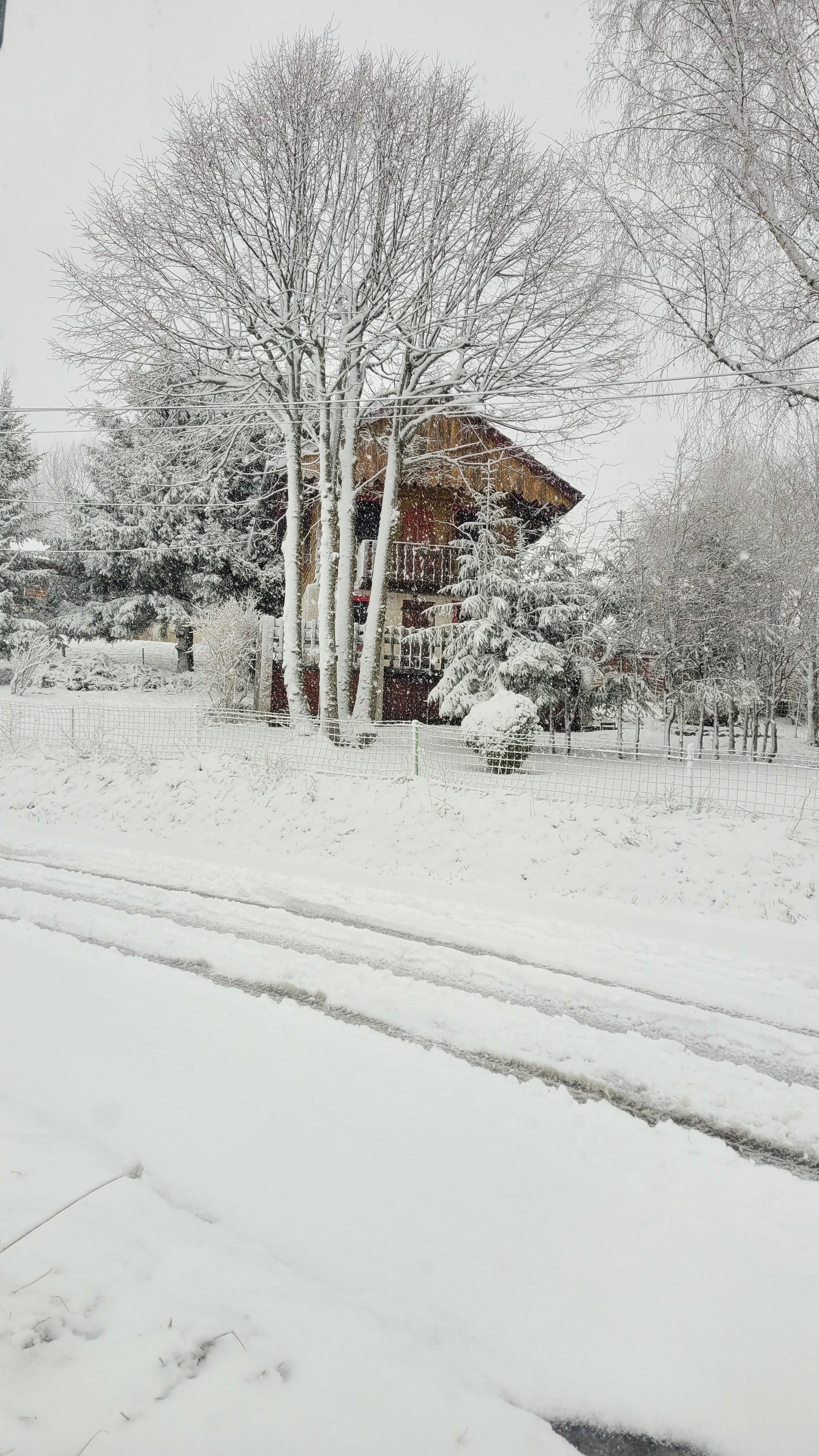 Photo n° 23 de l'avis de DAVID.A fait le 26/01/2023 à 17:30