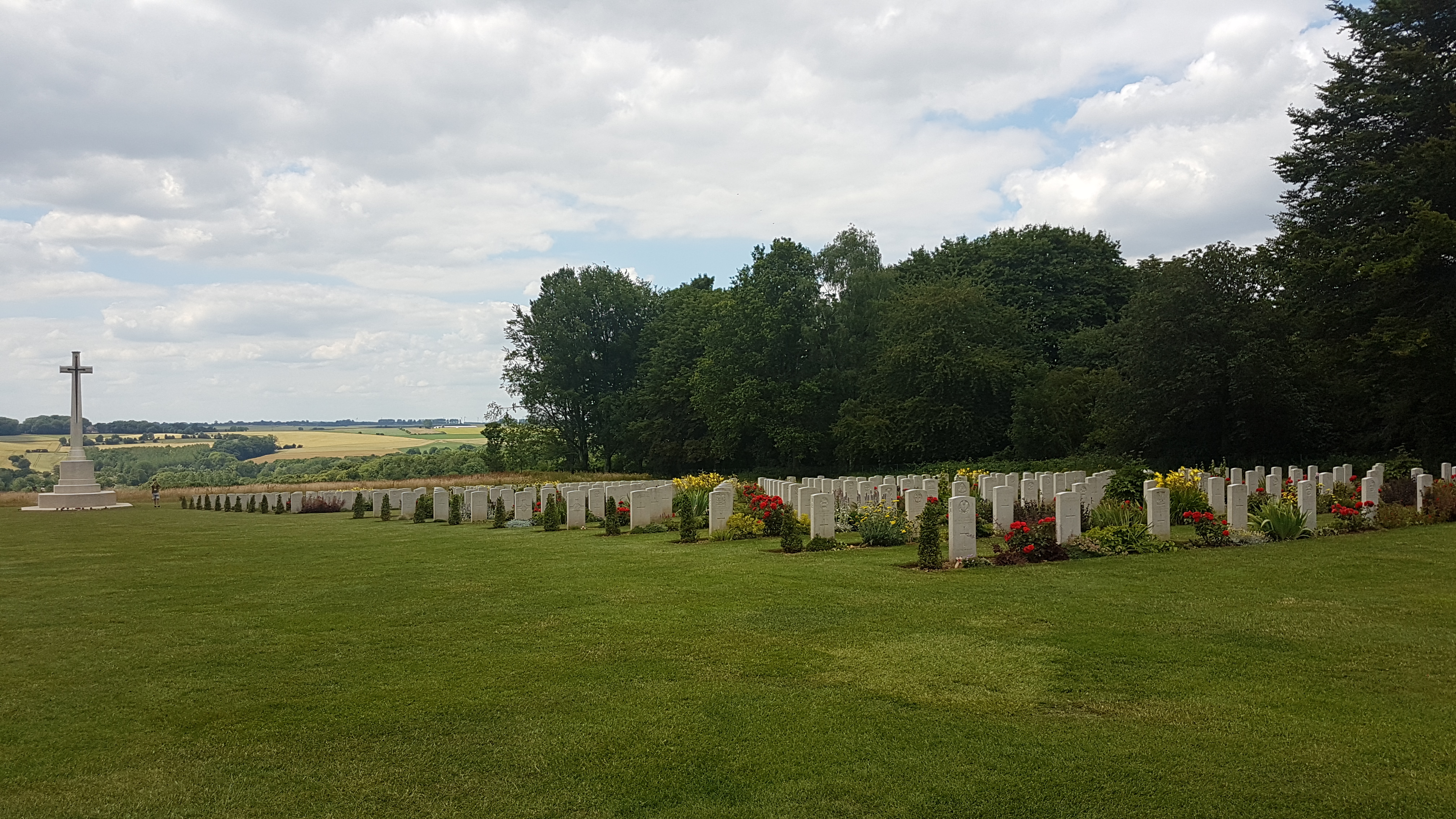 Photo n° 2 de l'avis de T. fait le 03/07/2019 à 08:26
