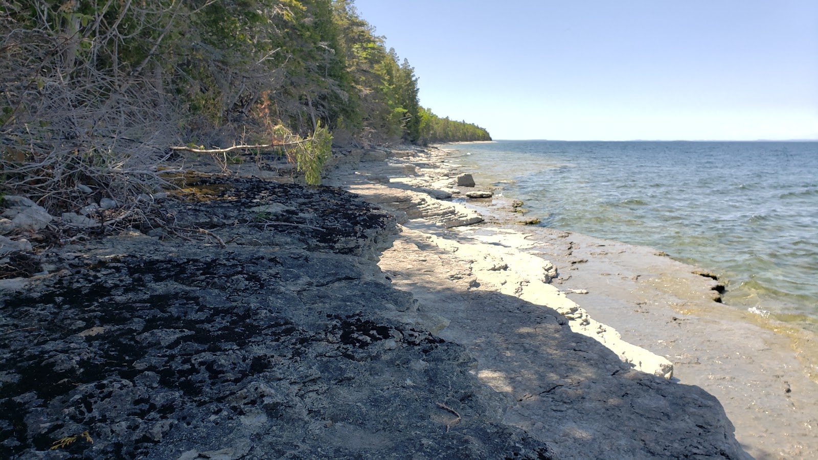 Fossil Ledges Beach的照片 带有长直海岸