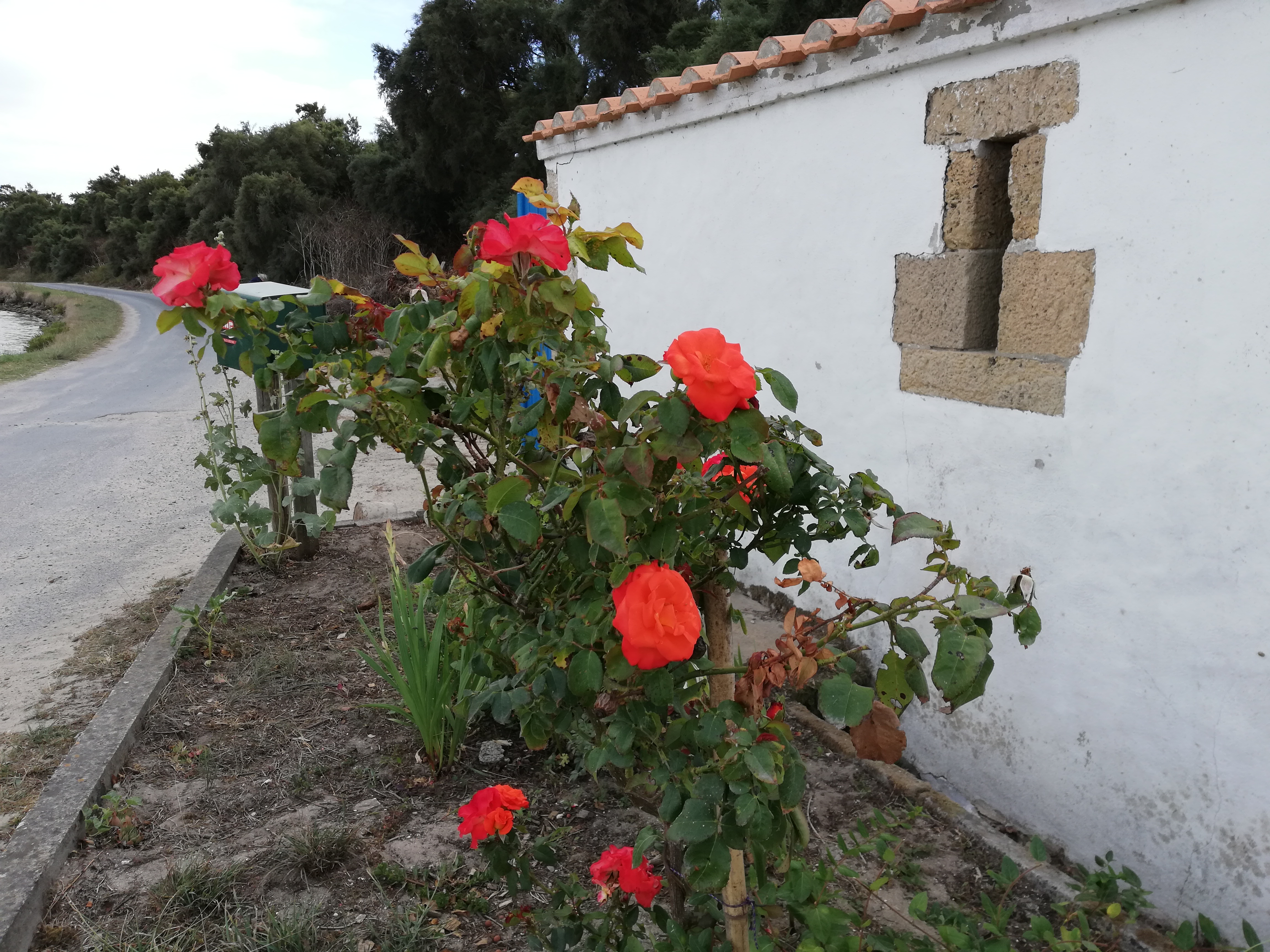 Photo n° 32 de l'avis de Bernard.O fait le 10/09/2019 à 02:01