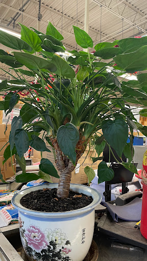 Asian Grocery Store «Sunseng Supermarket», reviews and photos, 5201 NJ-38 #101, Merchantville, NJ 08109, USA