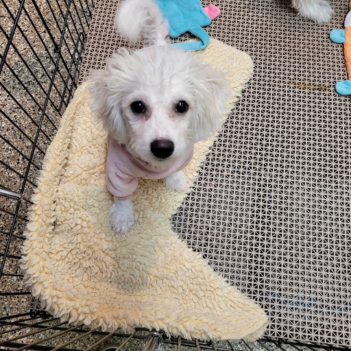 Pet Supply Store «Pet Ranch», reviews and photos, 3823 E 120th Ave, Denver, CO 80233, USA