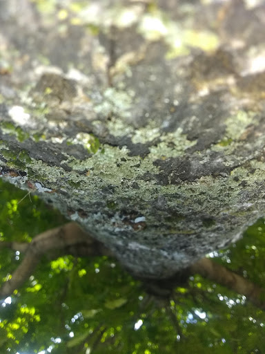 Day Care Center «Cason Lane Childrens Center», reviews and photos, 930 Cason Ln, Murfreesboro, TN 37128, USA