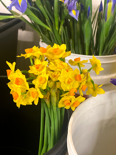 Florist «Orchids & Ivy Flowers & Gifts Columbus, OH», reviews and photos, 2814 Fishinger Rd, Upper Arlington, OH 43221, USA