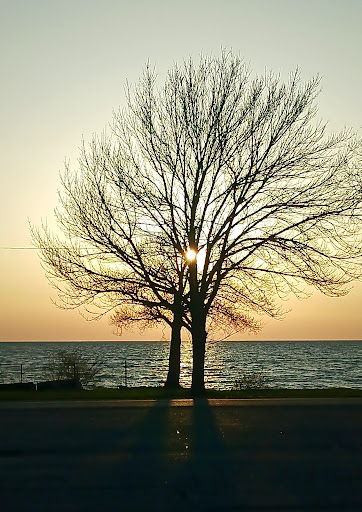 Historical Landmark «Dunkirk Lighthouse», reviews and photos, 1 Point Dr N, Dunkirk, NY 14048, USA