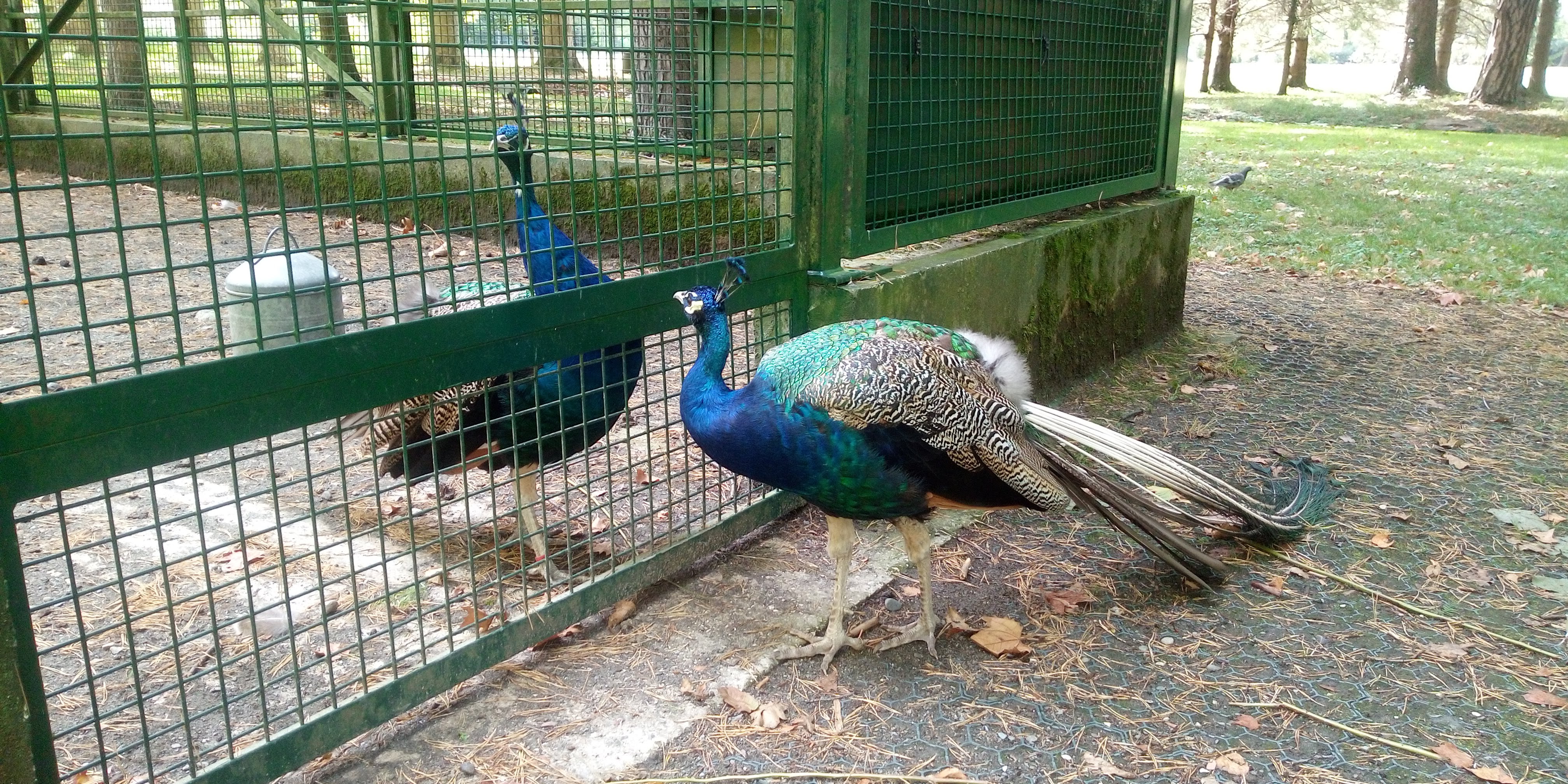 Photo n° 1 de l'avis de jean.i fait le 23/09/2019 à 14:42