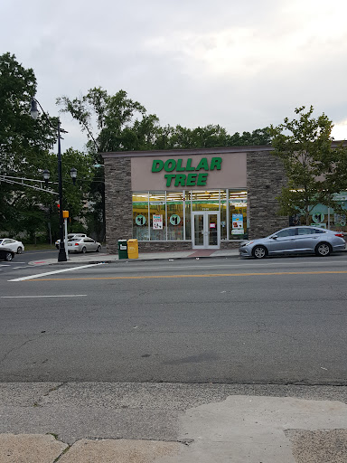 Dollar Store «Dollar Tree», reviews and photos, 13 Washington Ave, Belleville, NJ 07109, USA