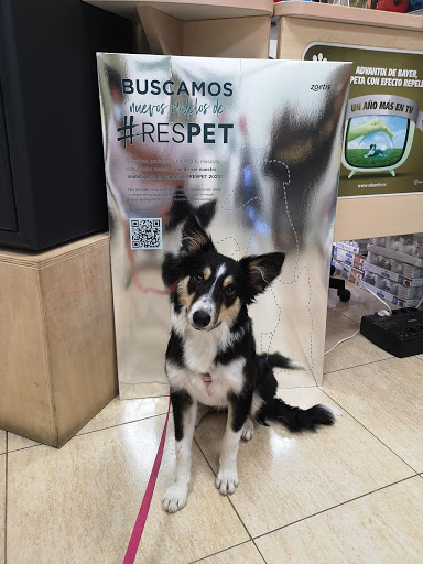 Clínica Veterinaria Fuerteventura en Puerto del Rosario