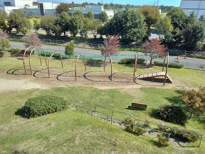 フラワーさくら平塚公園