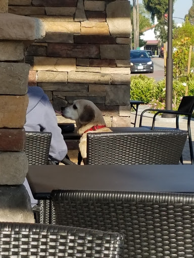 Starbucks image